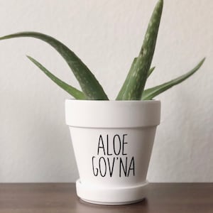 Aloe Gov’na, Funny Plant Pot, Plant Pun, Plant Holder, Funny Gift Idea, Funny Succulent, Aloe Vera Pot, Care Package, Cute Gift Idea, Plants