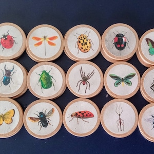 May include: A collection of twenty wooden discs, each featuring a different insect illustration. The insects include a ladybug, dragonfly, butterfly, and bee, among others. The discs have a natural wood edge and a white center.
