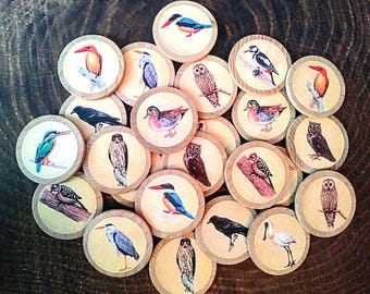 Bird Matching Game, Wooden Children's Game, Memory Game, Reggio, Montessori Game, Wood Circles, Wooden Game, Bird Children's Gift