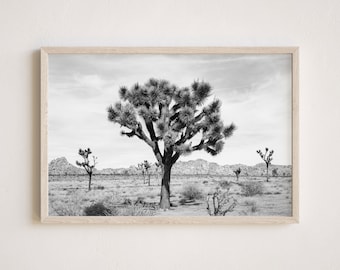 Joshua Tree National Park Photography, Gallery-Quality Desert Print, Landscape Photography, Unframed Wall Art, Made To Order
