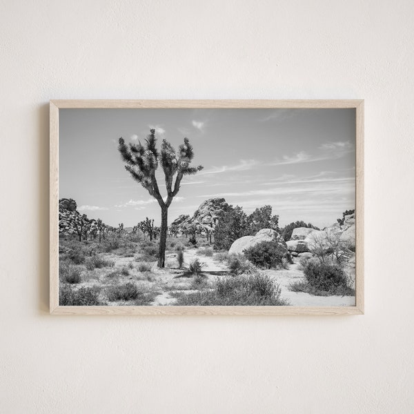 Joshua Tree Photography, Gallery-Quality Desert Print, Landscape Photography, Unframed Wall Art, Made To Order