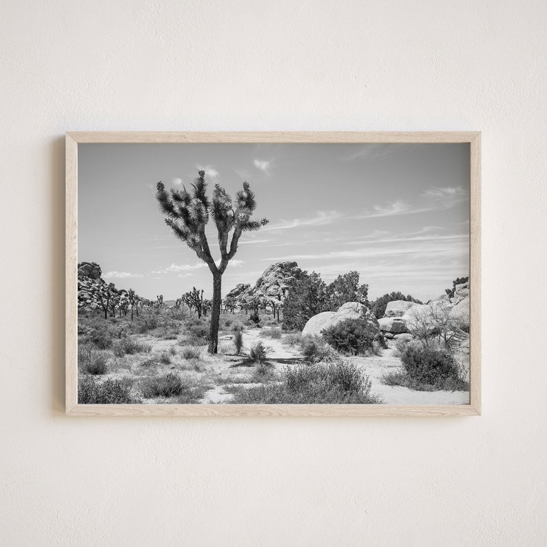 joshua tree wall art for sale, joshua tree photography for sale, joshua tree print