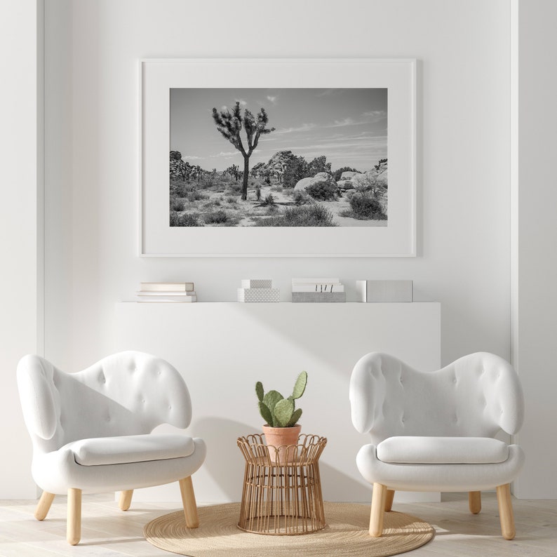 joshua tree wall art for sale, joshua tree photography for sale, joshua tree print