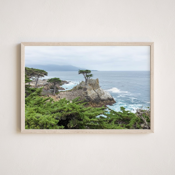 Lone Cypress Tree Photography, Gallery-Quality Tree Print, Pebble Beach Photography, Unframed Wall Art, Made To Order