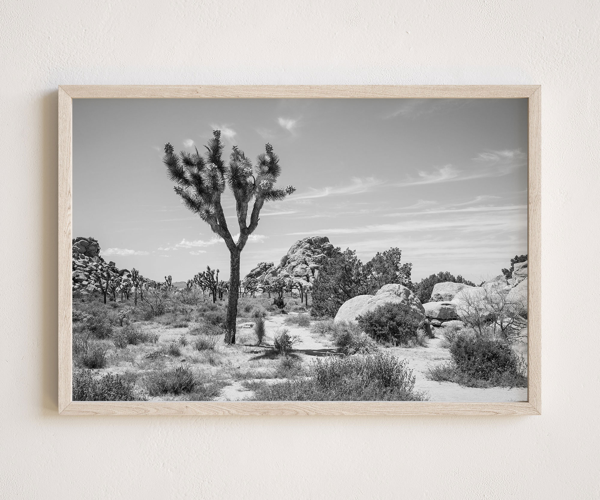 Joshua Tree Wall Art Original Fine Art Photography Etsy