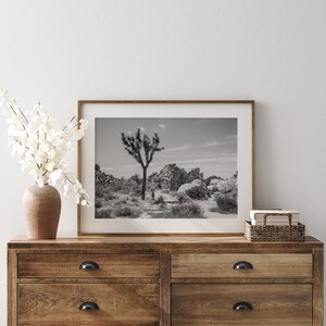 joshua tree wall art for sale, joshua tree photography for sale, joshua tree print