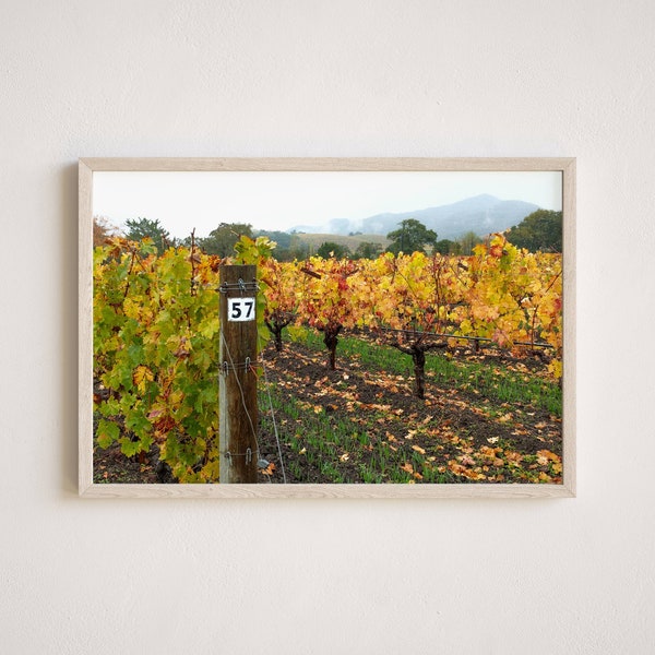 Winery Photography, Gallery-Quality Winery Print, Landscape Photography, Unframed Wall Art, Made To Order