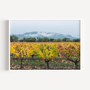 Napa Vineyard Wall Art, Napa Valley Print, Gallery-Quality Winery Print, Napa Valley Poster, Landscape Photography, Farmhouse Decor
