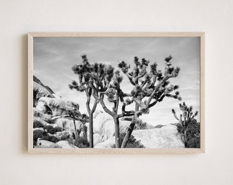 Joshua Tree Forest Photography, Gallery-Quality Desert Print, Landscape Photography, Unframed Wall Art, Made To Order