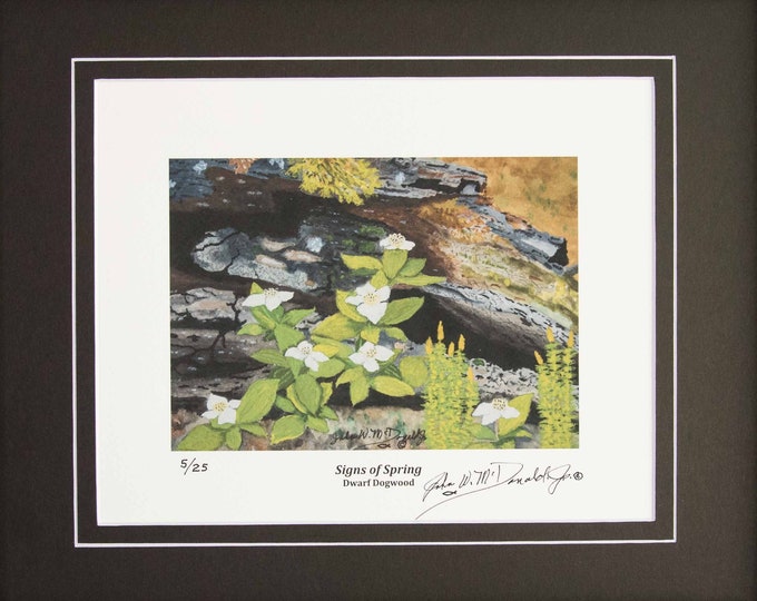 Featured listing image: Signs of Spring