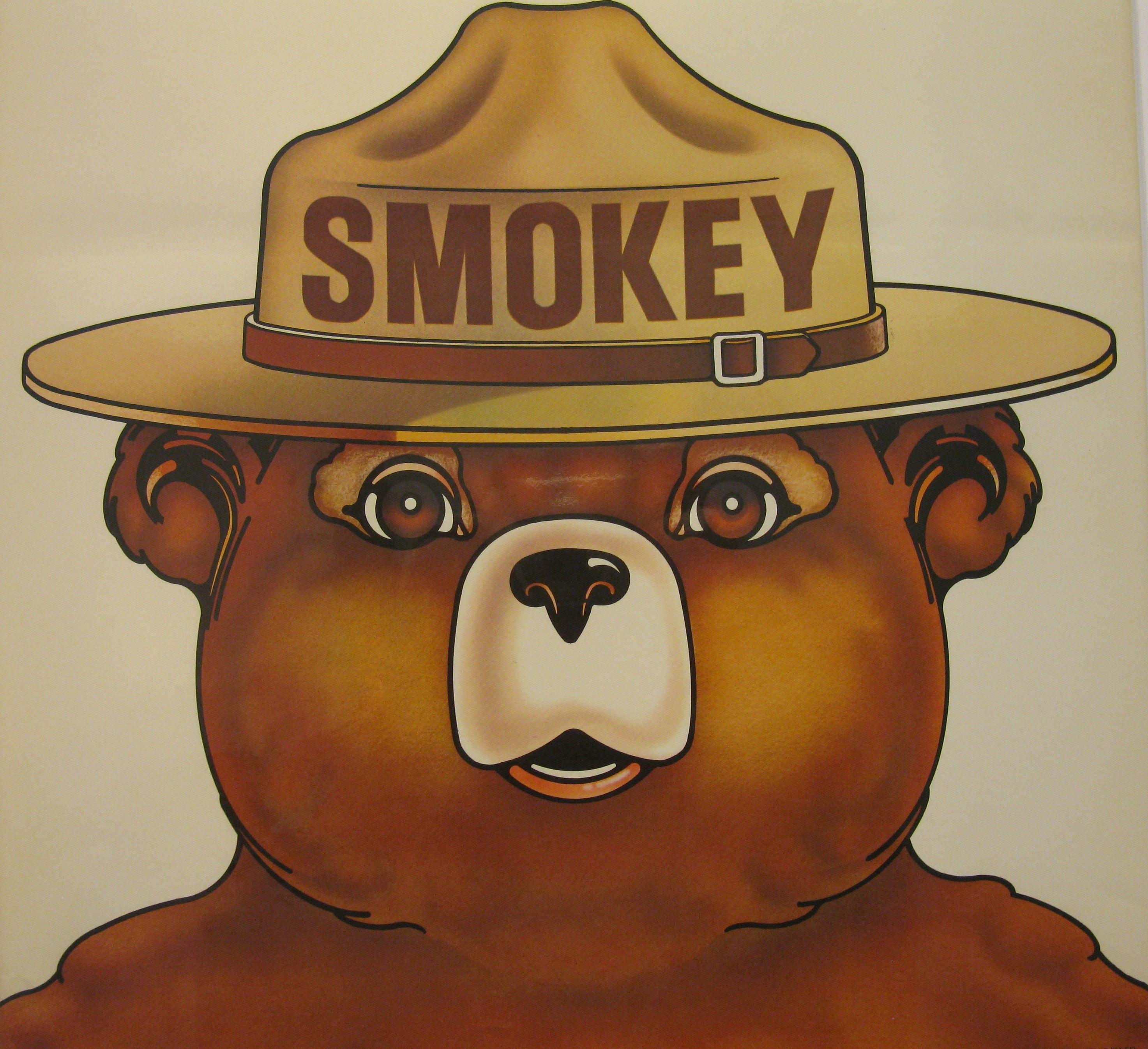 All 98+ Images pictures of smokey the bear Sharp