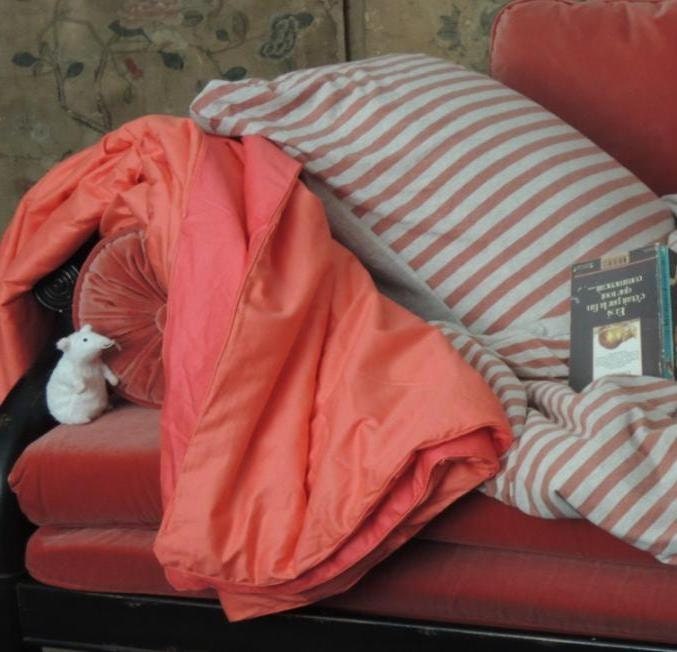 Plaid en Soie 170 X 120 cm - Couleur Pivoine et Corail