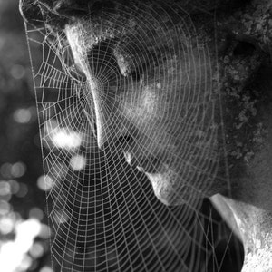 Cartomancy Gipsy Spider Web - Paranormaal lezen