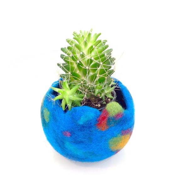 Unique Felted Wool Planter. Unique Felt Planter Planter Etsy