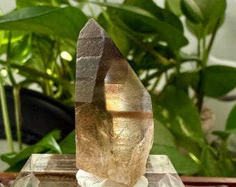 Heart of Spades Smoky Citrine - Mineral Specimen, Base Included, Australia