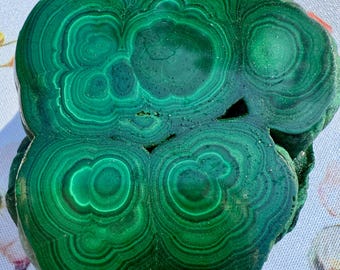 Malachite Stalactite Slab - Large, Chunky, Raw Edge, Fibrous Pockets, DRC/Congo