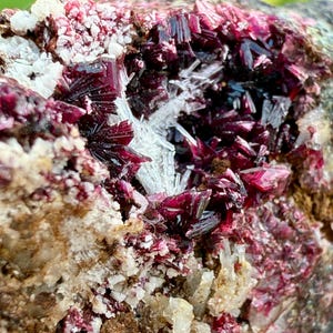 May include: Close-up of a mineral specimen featuring clusters of deep red, crystalline structures. The crystals are interspersed with white and tan mineral formations, creating a textured, natural appearance. The overall composition showcases the beauty of geological formations.