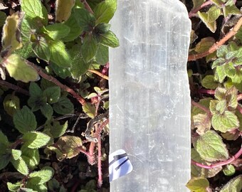 Enhydro Naica Selenite - Moving Bubble, Rare, Mexico