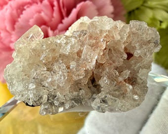 Phenakite - Glassy, Luster, Mineral Specimen, Stand Included, Madagascar