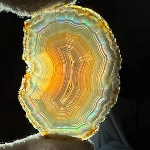 May include: A translucent, polished agate slice with concentric bands of color. The stone features a gradient of warm hues, including orange, yellow, and cream, with iridescent edges. The natural gemstone is held against a dark background.