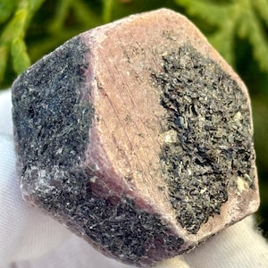 May include: A rough-cut gemstone with a mix of colors. The stone has a pinkish-red hue on one side and is partially covered with dark gray, textured mineral deposits. The stone is held in a white glove, with green foliage in the background.