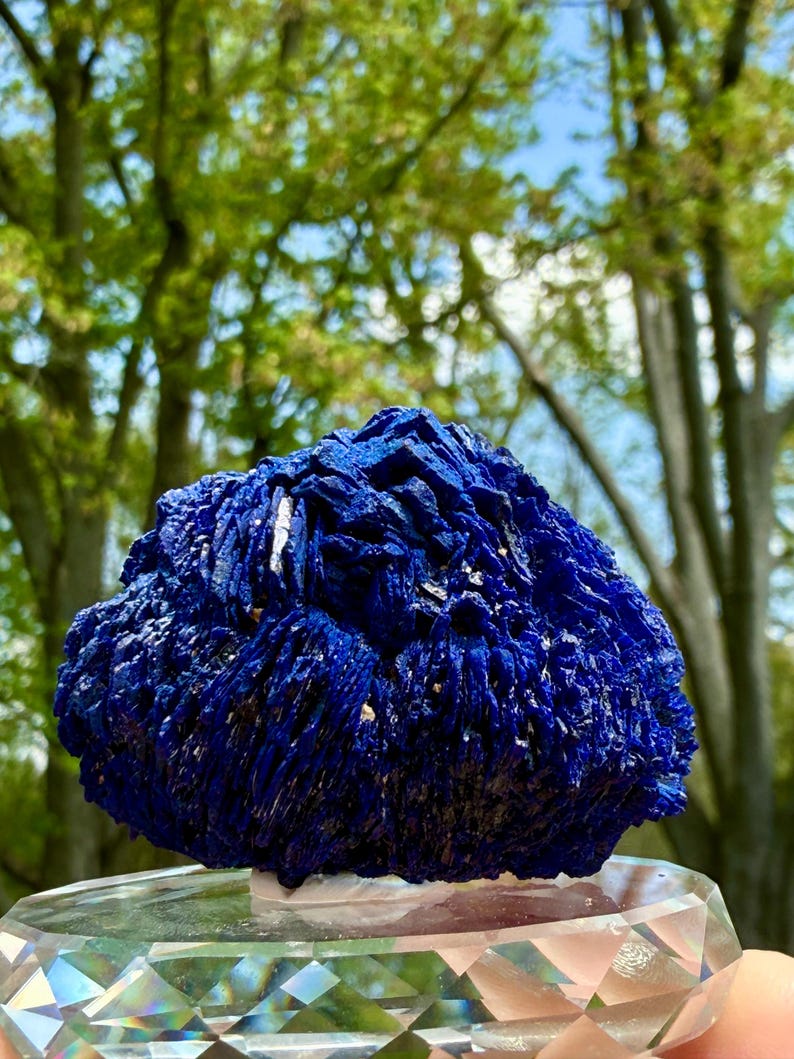 May include: A vibrant blue azurite mineral specimen with a crystalline structure. The mineral sits on a clear, faceted crystal base, with a blurred background of green trees and blue sky.
