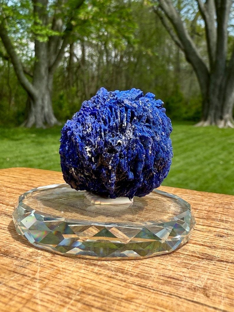 May include: A vibrant blue azurite mineral specimen, showcasing a textured, crystalline structure. The mineral sits atop a clear, faceted crystal display stand, reflecting light. The background features a blurred green lawn and trees.