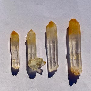 May include: Four elongated, translucent quartz crystal points arranged in a row. Each crystal features a distinct golden-yellow coloration at the pointed tip, transitioning into a clear, crystalline body with visible internal facets and natural textures.