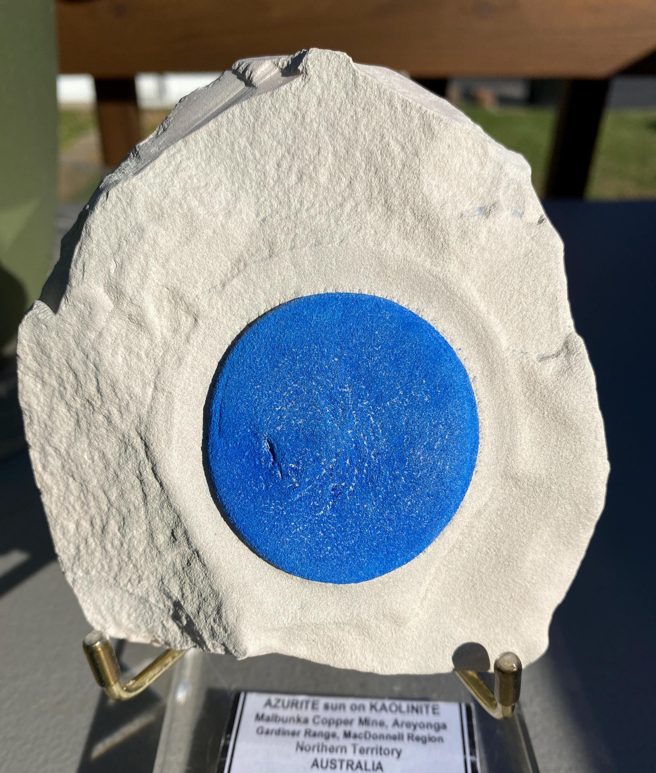 Azurite sun on Kaolinite - Perfectly Centered Sun, Cabinet, Identification Card & Stand Included