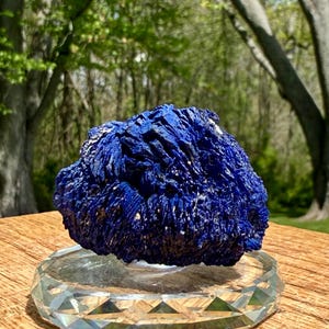 May include: A vibrant, deep blue azurite mineral specimen, showcasing a crystalline structure. The mineral sits atop a clear, faceted glass display stand, set against a natural outdoor backdrop. The azurite's color contrasts with the wooden surface.