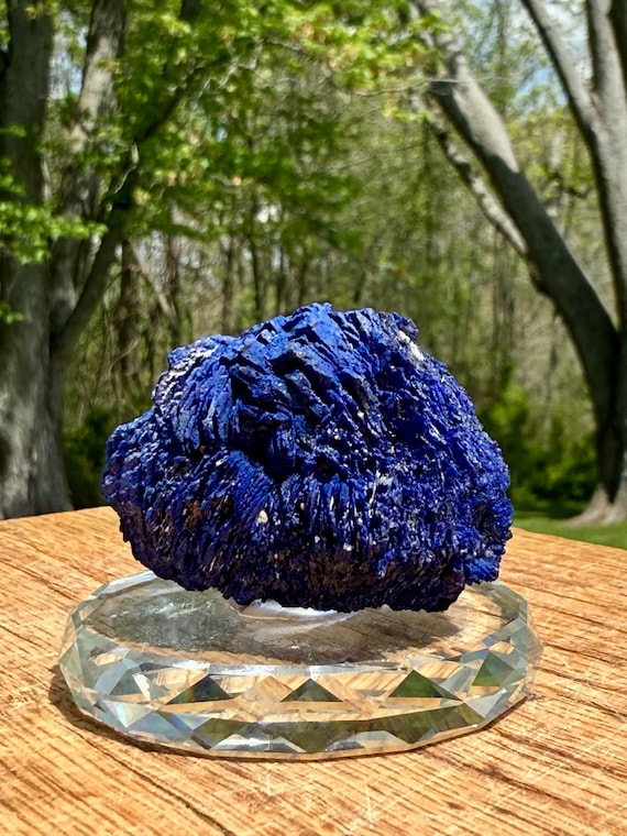 Azurite Rosette - Floater, Blossom, Stand Included, Arizona