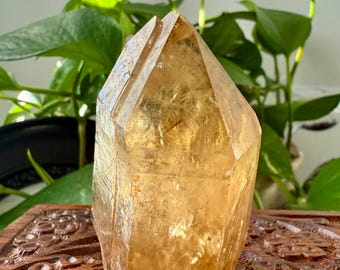 Kundalini Citrine Point - Rainbow, Perfect Tip, Unheated/Untreated, DRC