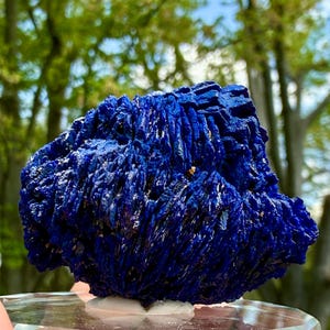 May include: A vibrant, deep blue azurite mineral specimen. The crystalline structure has a textured, layered appearance. The mineral sits on a clear, faceted display stand, with a blurred background of green foliage and blue sky.