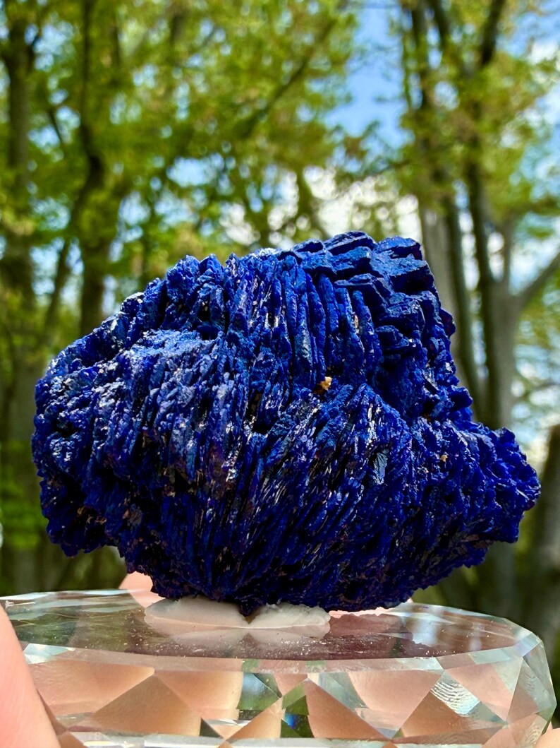 May include: A vibrant, deep blue azurite mineral specimen. The crystalline structure has a textured, layered appearance. The mineral sits on a clear, faceted display stand, with a blurred background of green foliage and blue sky.