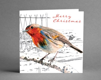 Robin Christmas cards - pack of 6. From an original watercolour painting.