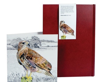 Buzzard - Wildlife Bookmark and Greetings Card Pack | Buzzard Card | Buzzard Cards | Wildlife Cards |  Birds of Prey card | Buzzard Bookmark