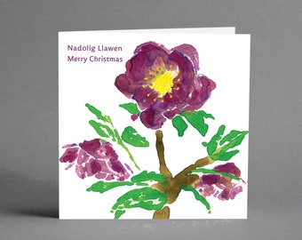 Welsh Christmas Rose Cards Pack | Welsh Christmas Cards | Nadolig Llawen cards | Cardiau Cymraeg | Hellebore cards | Cardiau Nadolig Cymraeg