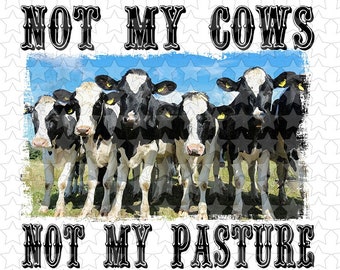 May include: A graphic featuring a group of black and white cows standing in a field under a blue sky. The text "NOT MY COWS" and "NOT MY PASTURE" is displayed in a decorative font above and below the cows.