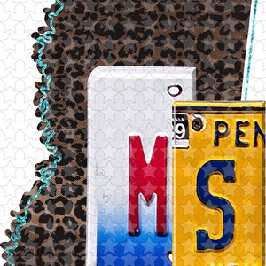 May include: A brown and black leopard print outline of the state of Mississippi with a red "M" and a yellow license plate that says "Mississippi" on it.