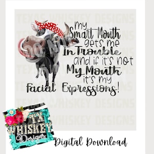 Puede incluir: Una vaca negra y blanca con una bandana roja en la cabeza. La vaca tiene una expresión divertida en su cara. El texto dice "My Smart Mouth gets me in Trouble and if it's not My Mouth it's my Facial Expressions!"