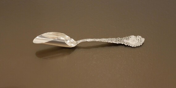 Large Cheese Scoop- Louvre by Wallace Sterling Silver -  Mono R