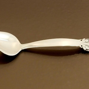 May include: A silver serving spoon with an ornate handle. The spoon has a rounded bowl and a long, slender handle.