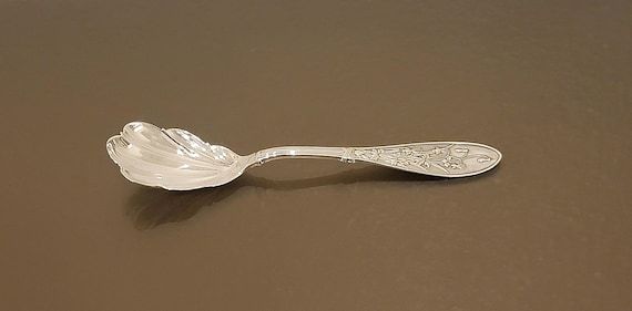 Sugar Shell Spoon - Honeysuckle by Whiting Sterling Silver 6"