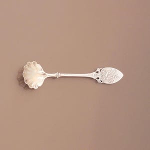 May include: A silver spoon with a shell-shaped bowl and an ornate handle. The handle features a detailed design, and the spoon rests on a brown surface. This decorative spoon is likely for serving.