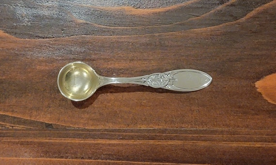 Silver Master Salt Spoon