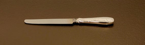 Dinner Knife - Audubon by Tiffany Sterling Silver Handle