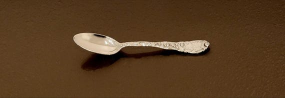 Teaspoon - Mono KG - Chrysanthemum by Tiffany & Co. Sterling Silver