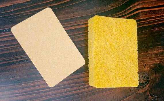 Sponge for Polish Application