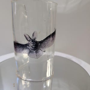 May include: A clear cylindrical glass tumbler featuring a detailed black and white graphic print of a bat with its wings spread wide. The bat illustration is positioned in the center of the glass, showing visible texture and shading on the wings.