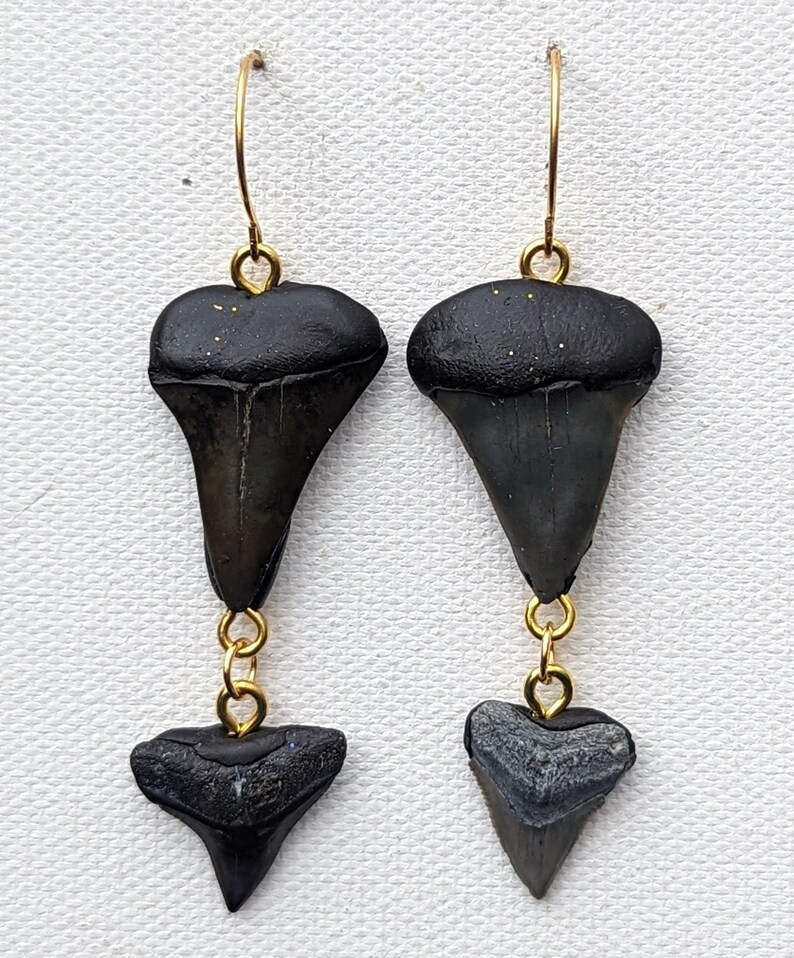 Double-stacked Fossilized Shark Teeth Fossils Designed Hand Made by ...